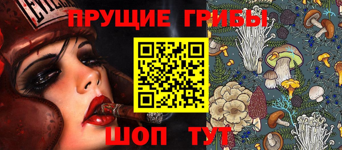 Галлюциногенные грибы Psilocybine cubensis Спасск-Дальний