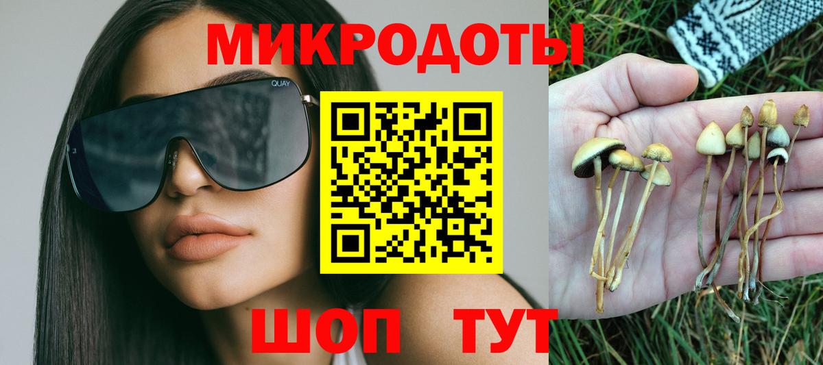 Псилоцибиновые грибы GOLDEN TEACHER  Вход с VPN  Псилоцибиновые грибы ЛСД  где продают наркотики  Спасск-Дальний 